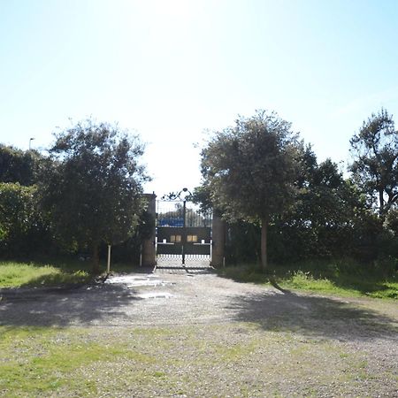 Villa Anselmi - Arteindiretta Livorno Buitenkant foto